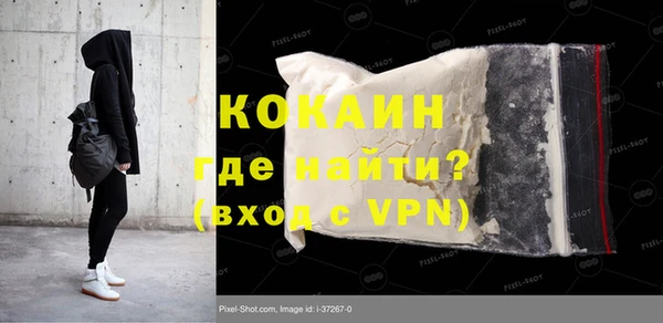 трава Бородино