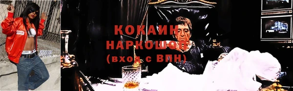 прущие грибы Бугульма