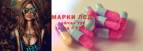 прущие грибы Бугульма