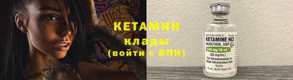 трава Бородино