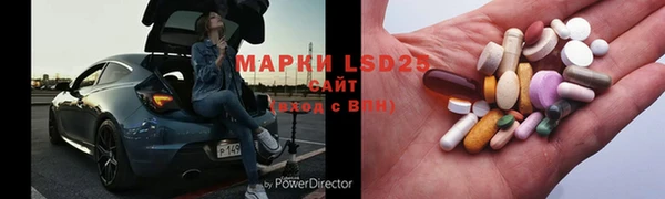 прущие грибы Бугульма