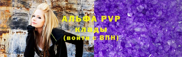 трава Бородино