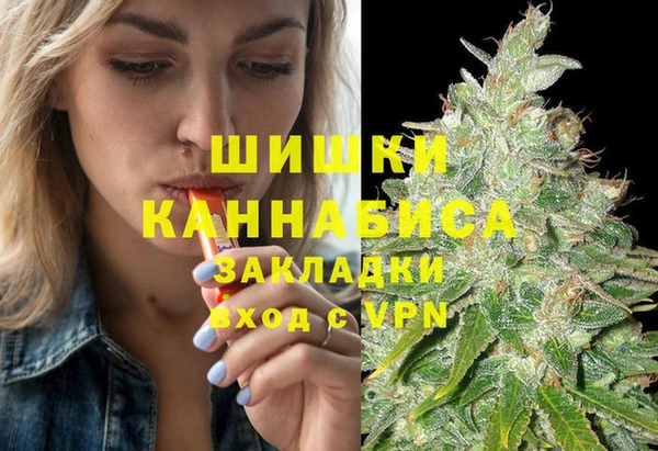 трава Бородино