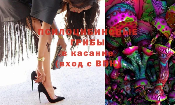 spice Бронницы