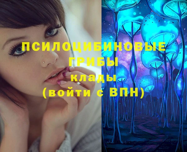прущие грибы Бугульма