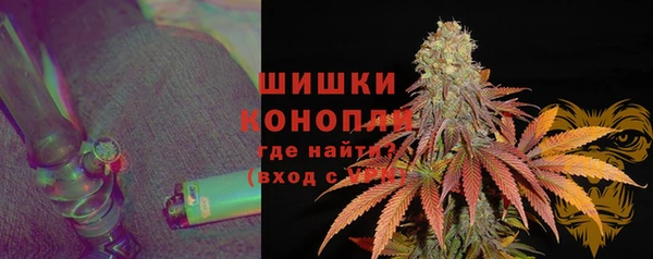 прущие грибы Бугульма