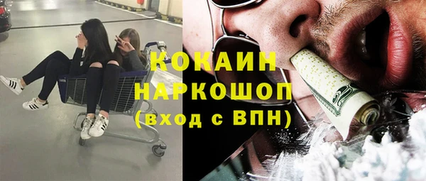 прущие грибы Бугульма