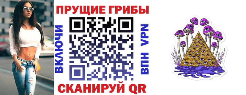 Псилоцибиновые грибы Psilocybine cubensis Кола